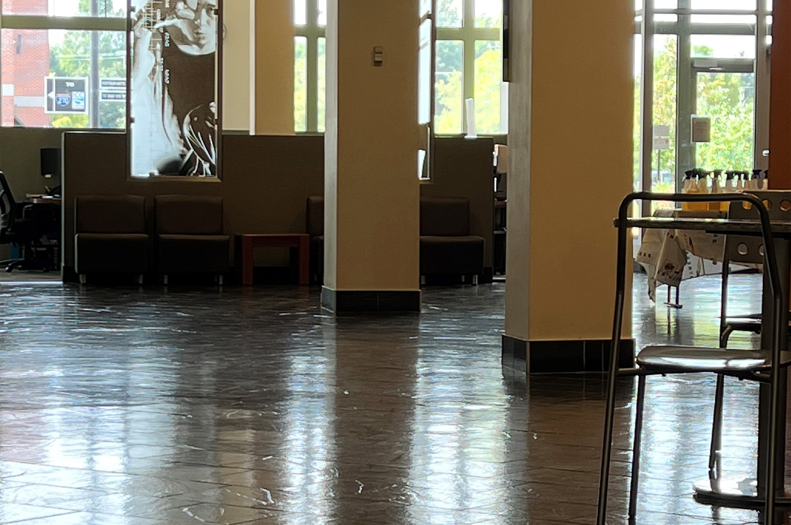 Black Brazilian Slate Floors