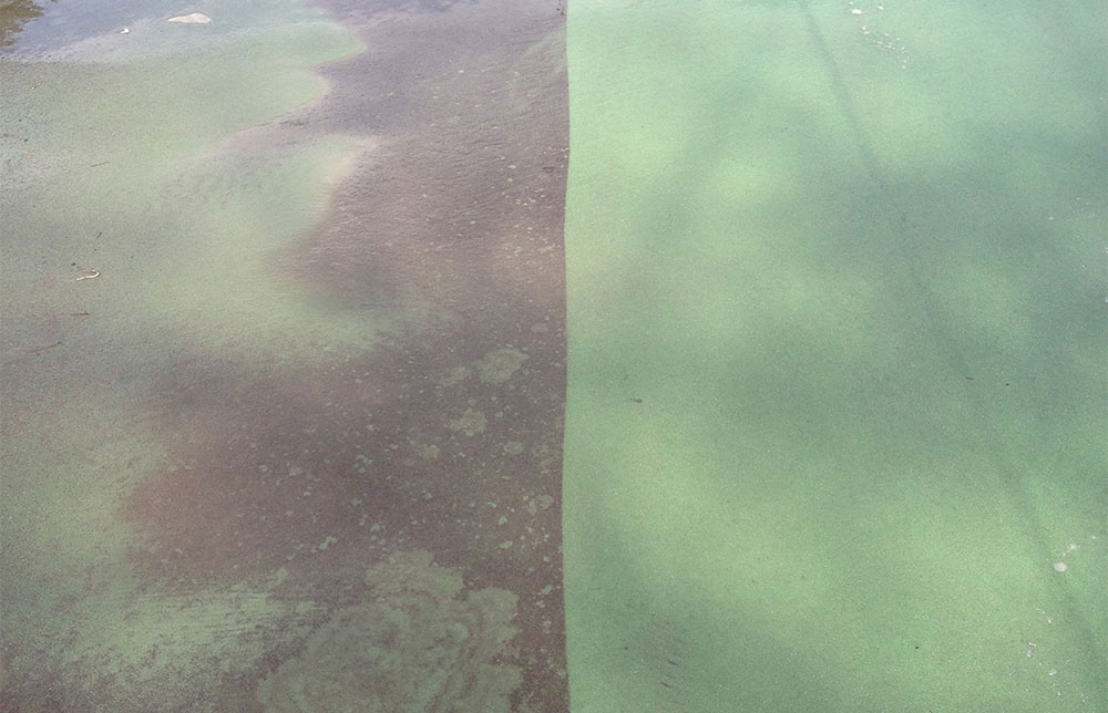 Tennis Court Pressure Washing During Tennis Court Pressure Washing During